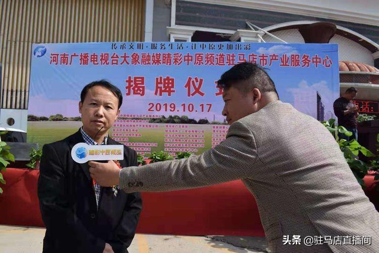 凤凰网新闻爆料热线，连接公众与真相的桥梁，凤凰网新闻爆料热线，公众与真相的桥梁