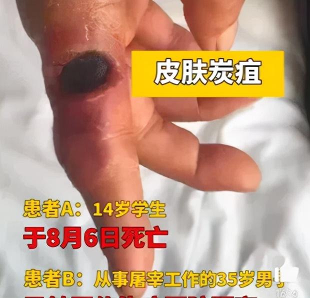 山东最近新闻大事概览，山东最新新闻大事概览