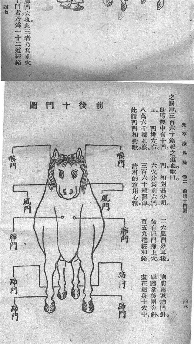 神秘与传奇交融