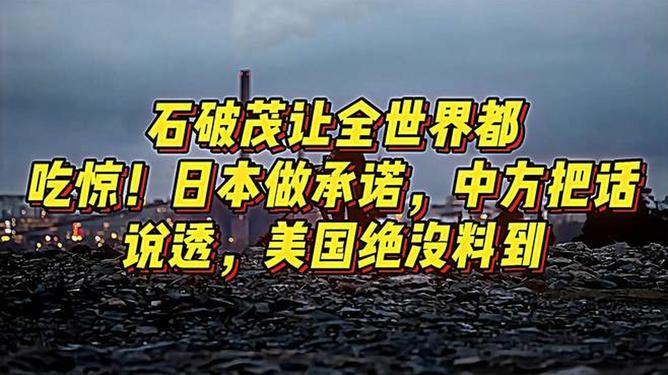 中国对日本的承诺，历史、现实与未来的维度，中日关系的承诺，历史回顾、现实现状与未来展望