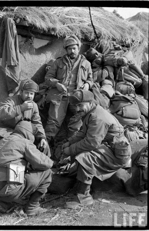 全球瞩目,27国将出兵,共同维护国际秩序与和平,全球瞩目!多国联手出兵,共同捍卫国际秩序与和平