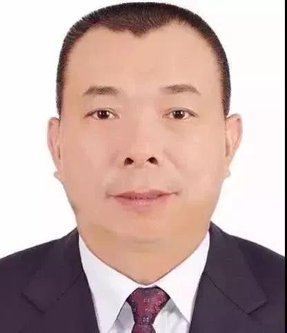 中国国际战略学会会长，深度解读中国外交战略的重要人物，中国国际战略学会会长深度解读中国外交战略重磅人物揭秘