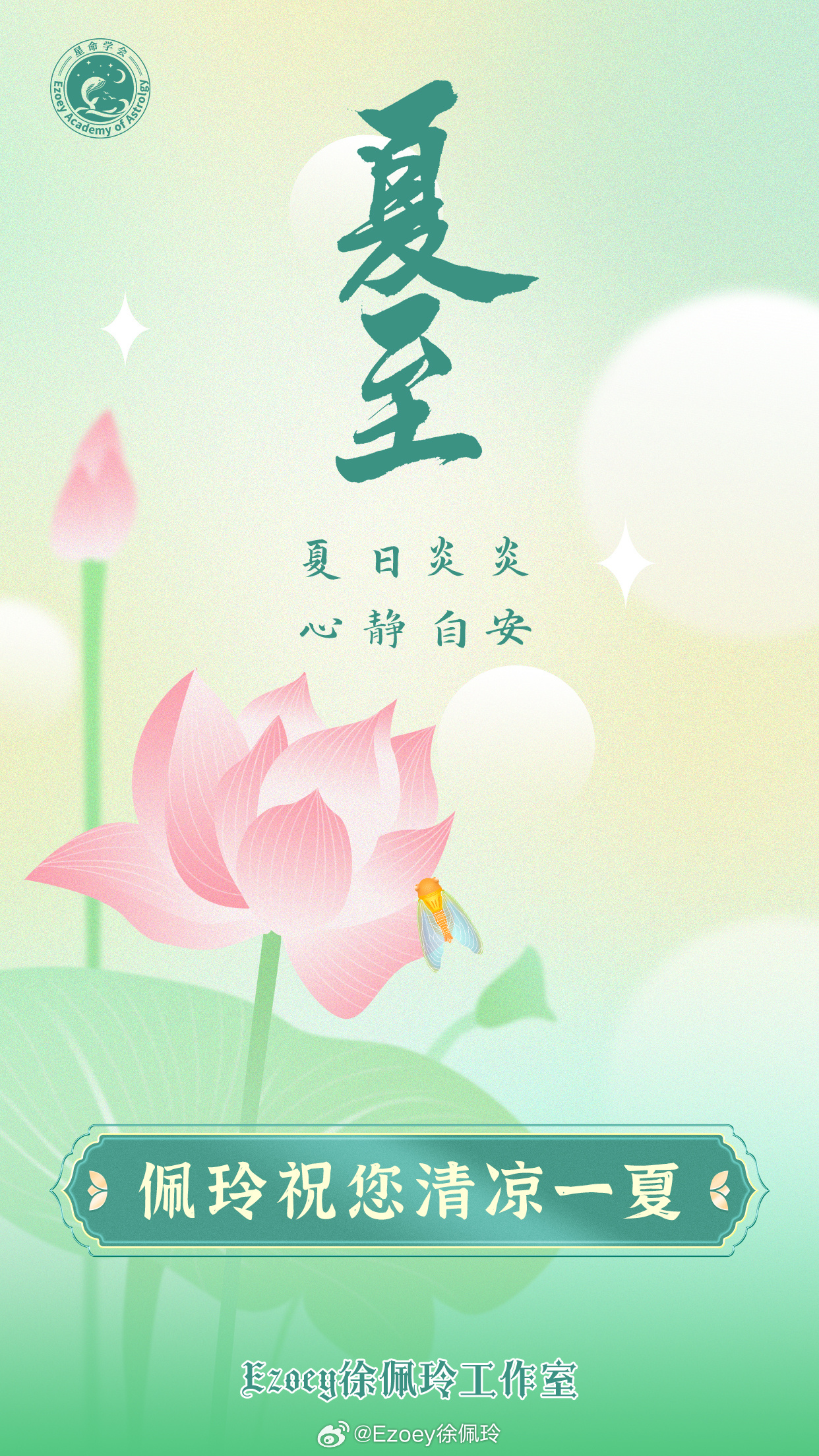 今天夏至，探寻夏至的奥秘与魅力，夏至探秘，奥秘与魅力的交织