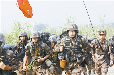 军力重塑，从14集团军到41集团军的转变，军力重塑，从第14集团军到第41集团军的战略转变之路