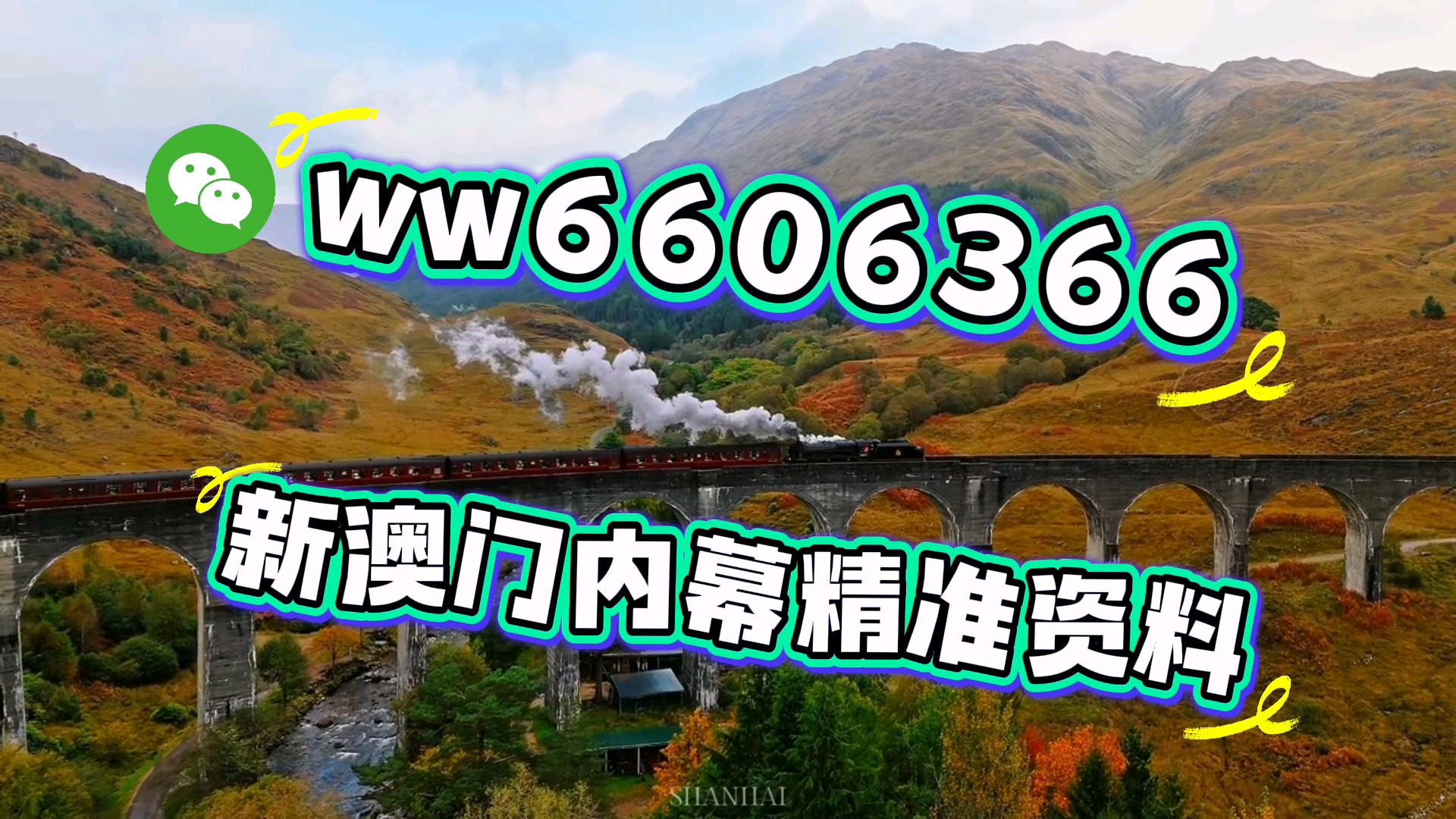 彩票魅力与期待