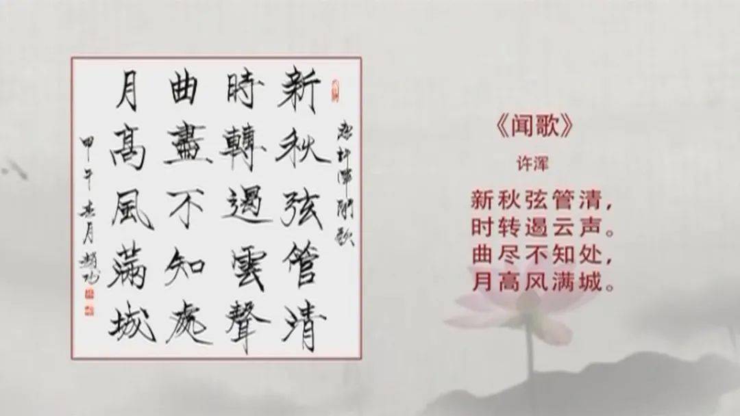 环球奇观频道，探索世界的窗口，环球奇观频道，世界探索之窗