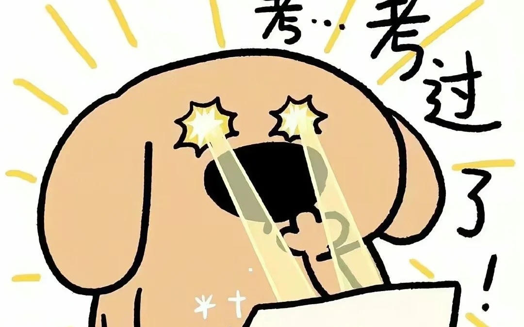 今天有什么考试——一场知识与能力的较量，知识与能力的较量，今日考试揭秘