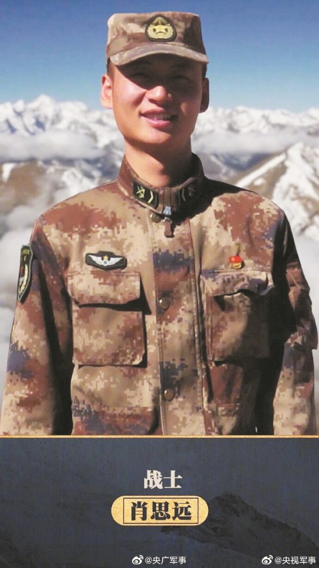 肖思远兔子，一种独特的文化象征与生态寓言，肖思远兔子，文化象征与生态寓言的独特解读