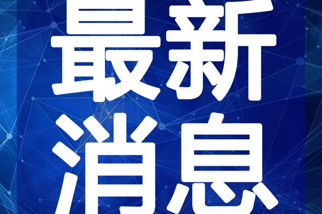 参考消息电子版阅读九尾网，探索新闻与娱乐的交汇点，新闻娱乐交汇点，九尾网电子版阅读体验