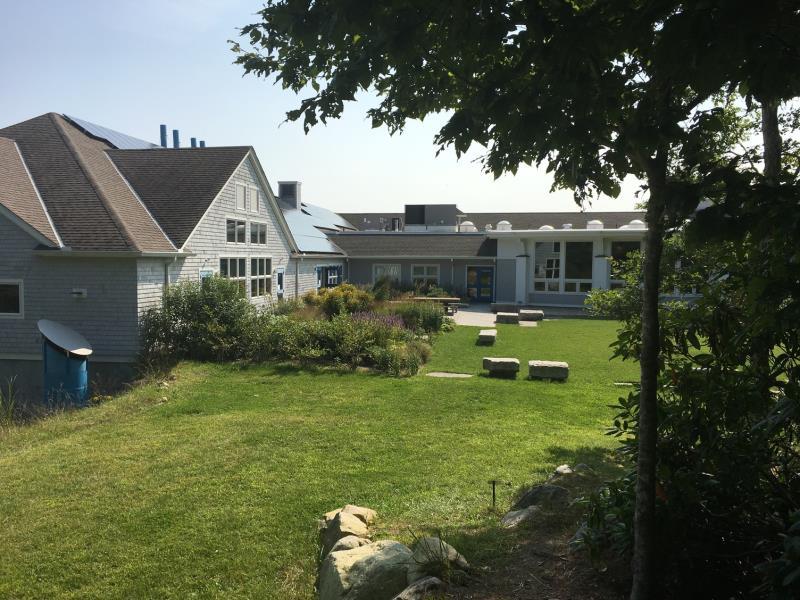 美国西部著名大学概览,美国西部顶尖大学概览