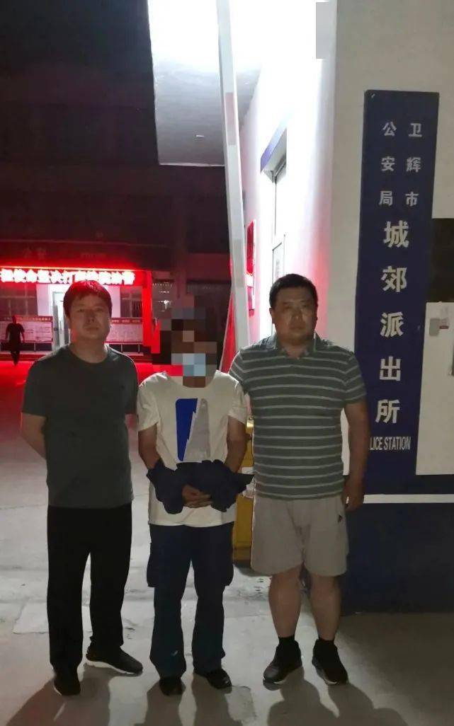 中国最新消息在海南买卖电脑官网的发展动态，海南电脑官网最新发展动态揭秘，中国市场的最新消息