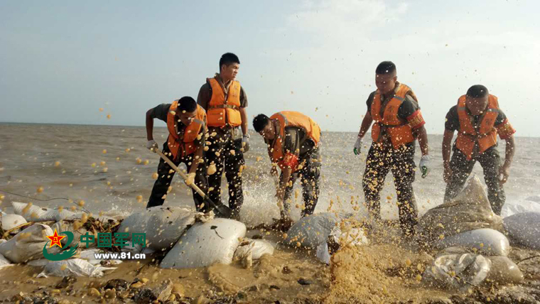揭秘中国陆军第12集团军百将团,传统与现代的融合典范,中国陆军第12集团军百将团,传统与现代融合的典范