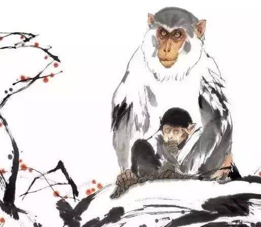澳门刘伯温四肖选一期，预测背后的文化魅力与探索，澳门刘伯温四肖选一期，文化魅力的探索与预测