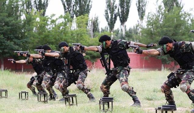 揭秘蛟龙突击队,成员数量及更多细节,揭秘蛟龙突击队,成员数量及更多内幕细节曝光