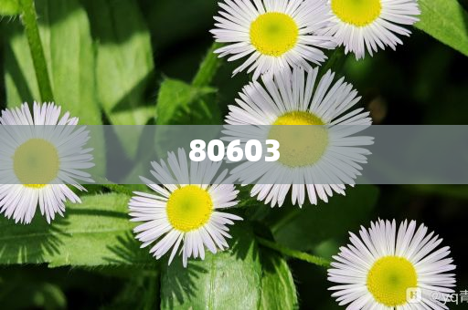 迈向2025,新澳天天开启美好新篇章,迈向2025,新澳开启美好新篇章每一天