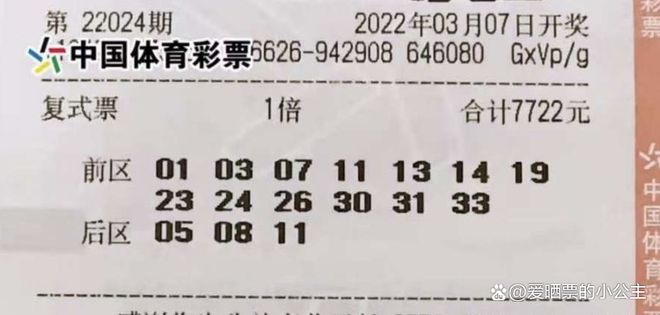 新澳2025天天开好彩开大乐透，梦想与希望的盛宴，梦想与希望盛宴，新澳2025天天乐透大放送