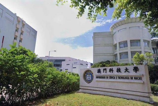 新澳门三中三必中一组，探索与解析，新澳门三中三必中一组的秘密解析与探索