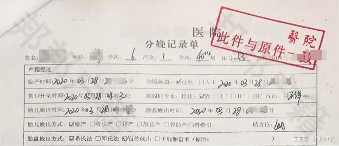 不结婚生孩子能否落户？深度解析户口政策与个人选择，不结婚生子能否落户？户口政策与个人选择的深度解析