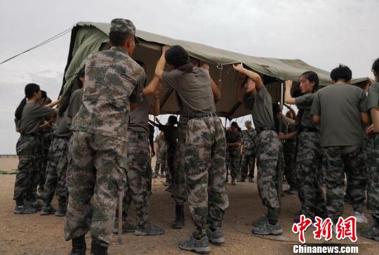 甘肃76军所属部队概况，甘肃76军所属部队概览