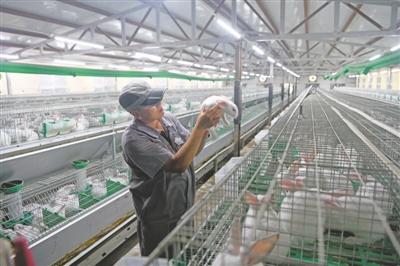 迈向未来，探索2025年澳资料大全正版资料的免费共享时代，迈向未来，探索2025年澳资料正版免费共享时代