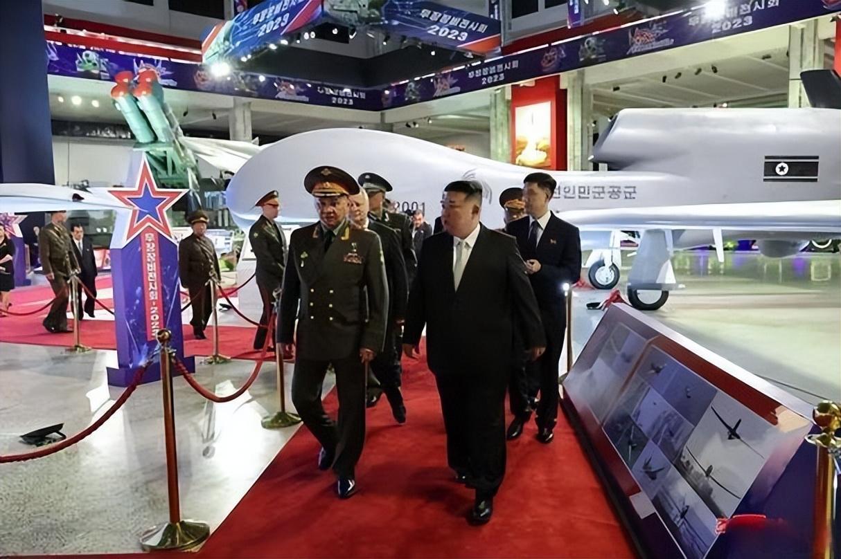 全球鹰工作原理揭秘，深入解析3D视频展现，全球鹰工作原理深度解析，3D视频展现揭秘