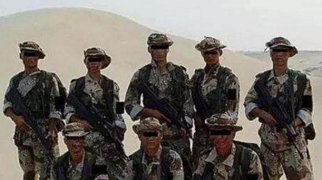 关于中国人民解放军陆军第14集团军所属军区的研究分析，中国人民解放军陆军第14集团军所属军区深度研究分析
