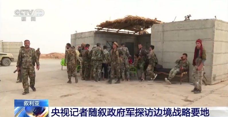 探访军事领域，央视网深度解析军事现象背后的故事，央视网深度探访军事领域，揭秘军事现象背后的故事