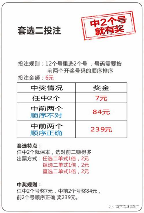买二肖中赔多少，揭秘彩票背后的赔率机制，揭秘彩票赔率机制，买二肖中奖与亏损分析