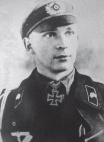 混合虎式,创新融合的力量与未来展望,混合虎式,创新融合的力量及未来展望