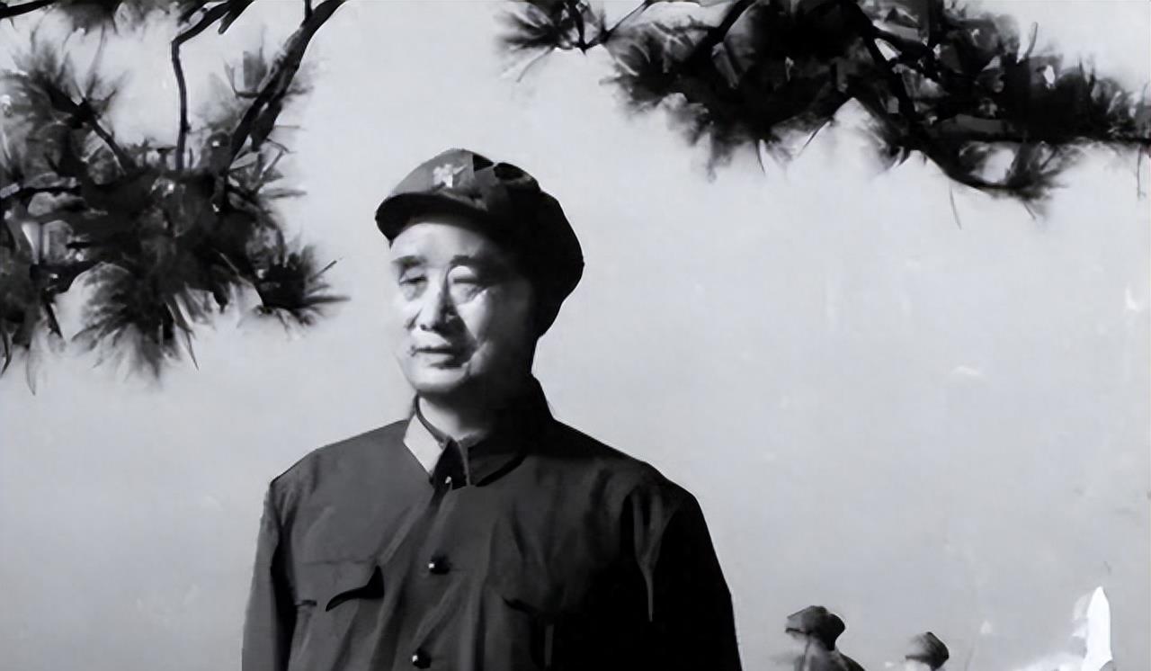 中国现役军长的数量与分布,深度解析与概述,中国现役军长的数量与分布深度解析报告