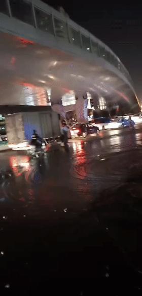 厦门最新消息今天,城市新动态与发展展望,厦门今日最新消息,城市新动态与发展展望