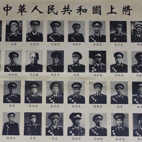 探究在世的上将有多少人,人口动态与未来展望,世界人口动态,在世上将有多少人及未来展望