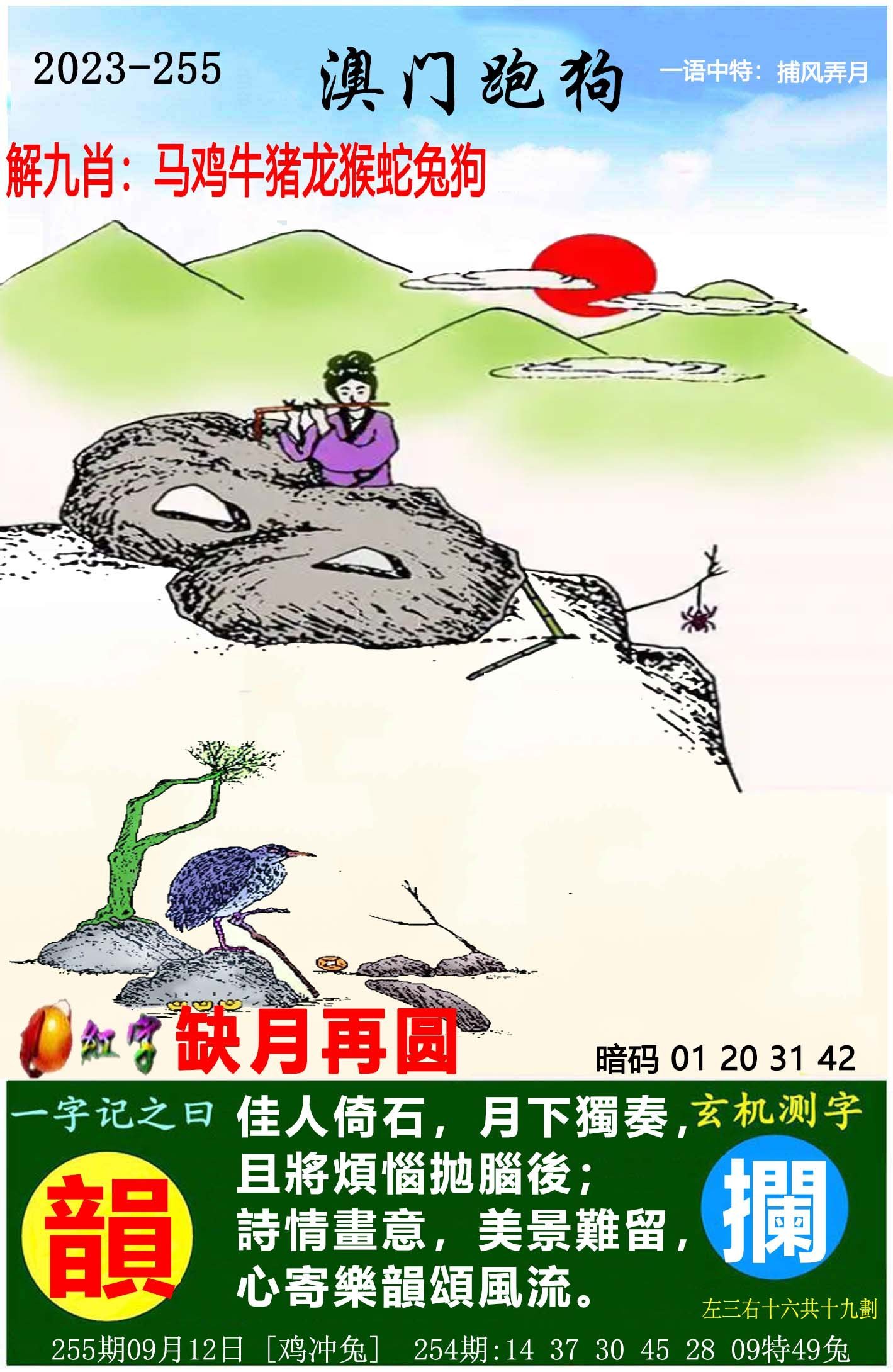 澳门天天开好彩大全第53期，探索未来彩票的新机遇与挑战，澳门第53期天天开好彩，新机遇与挑战的探索之旅