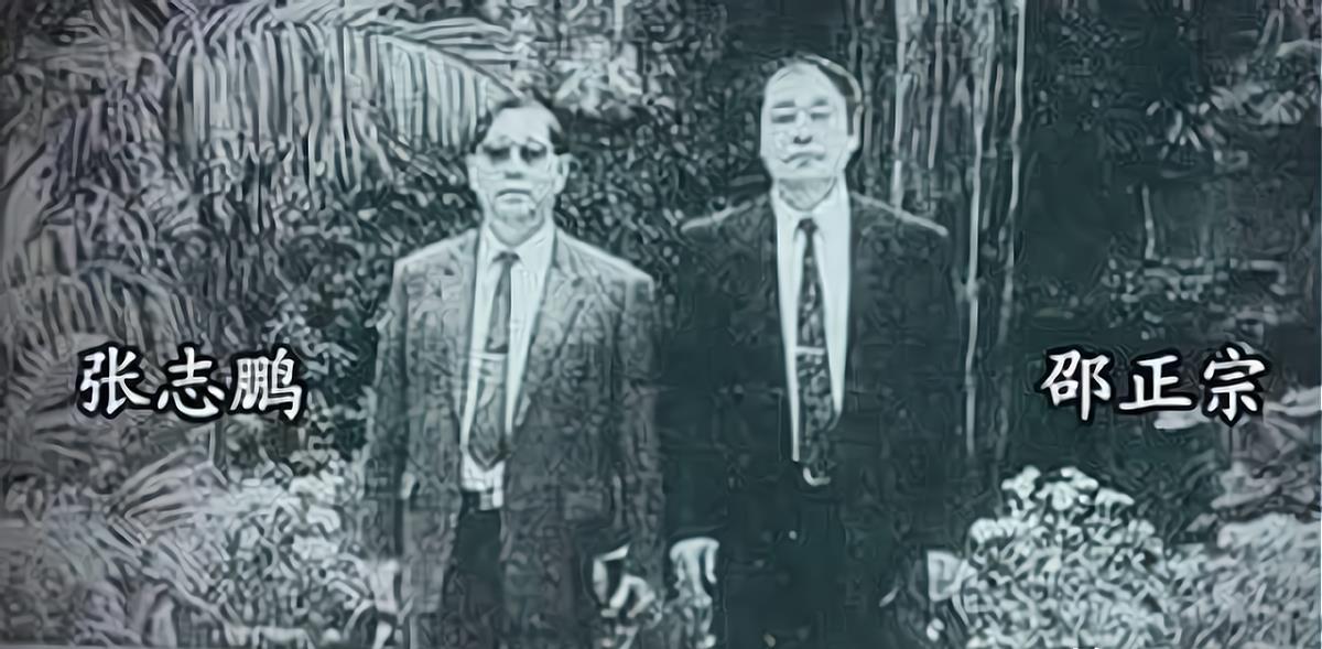 多维视角深度解析