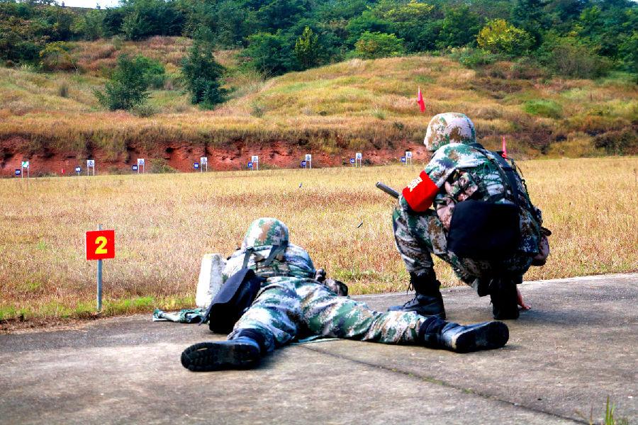 轻武器概述与图片介绍，轻武器概览，类型、特点与图片解析