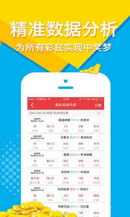 一码一肖王中王，探寻背后的神秘与魅力，一码一肖王中王，背后的神秘魅力探寻记