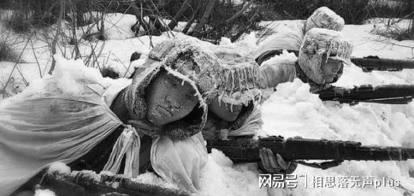 长津湖战役冻死人数，历史的残酷与反思，长津湖战役冻死人数，历史的残酷教训与反思