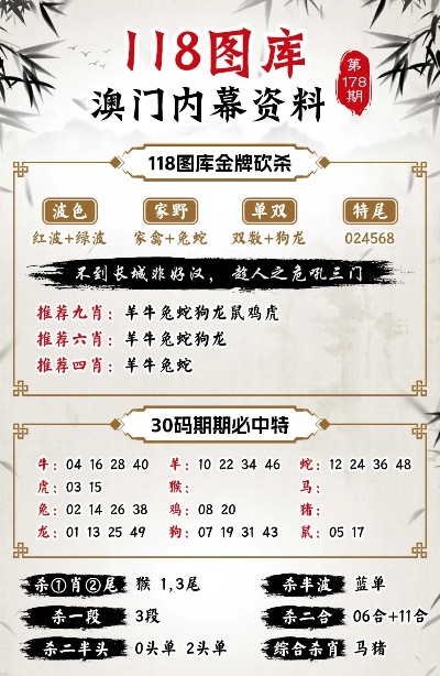 新澳2023今晚开奖资料详解，新澳2023今晚开奖资料全面解析