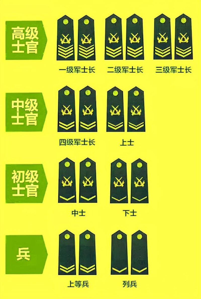 中国士官等级及标志，制度沿革与荣誉象征，中国士官等级制度与荣誉象征，等级划分与标志沿革全解析