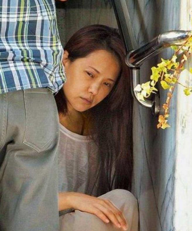 关于中国人民解放军陆军第47集团军第56师的辉煌历程与贡献，中国人民解放军陆军第47集团军第56师辉煌历程与卓越贡献