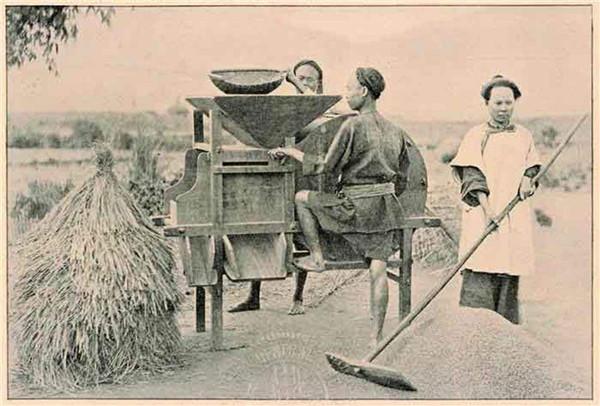 台湾农村的房子，传统与现代的交融，台湾农村房屋，传统与现代的和谐交融