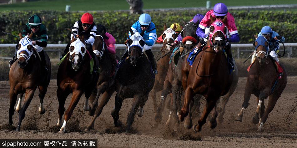 王中王马开奖一肖中——探寻彩票背后的秘密与机遇，彩票背后的秘密与机遇，王中王马开奖一肖探讨