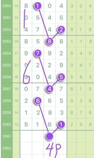 平特一肖王中王大公开的奥秘与探索，平特一肖王中王大奥秘揭秘与探索