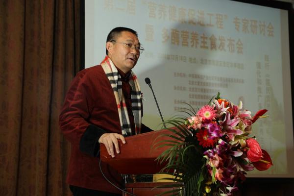 禁止化学武器组织执行理事会的角色与重要性，化学武器组织执行理事会角色与重要性探究