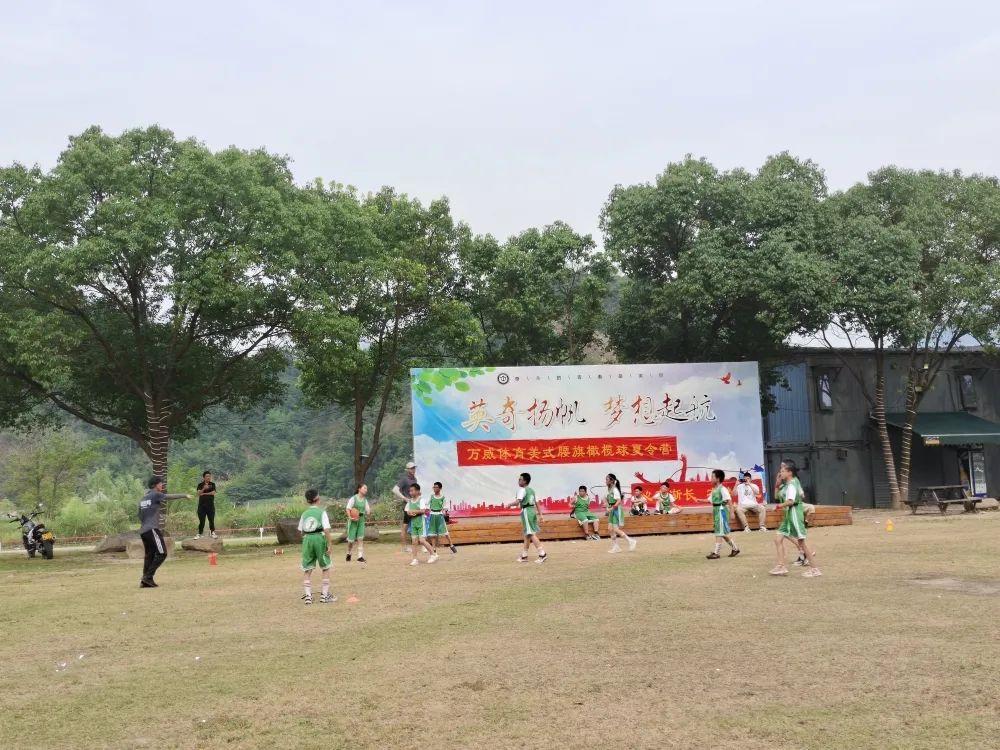 国庆节飞行表演，翱翔天际的壮丽画卷，国庆节飞行表演，翱翔天际的壮丽盛宴