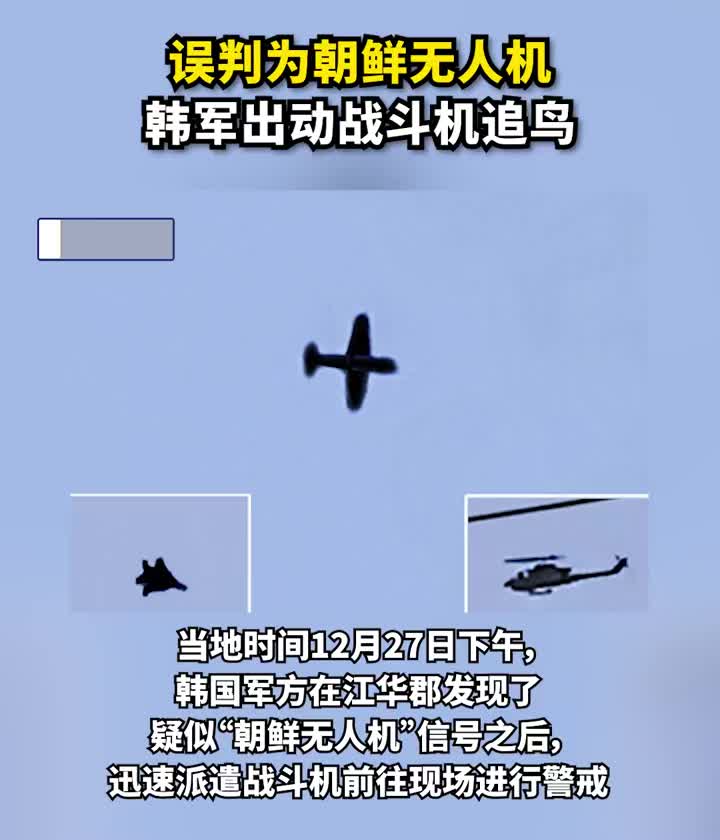 朝鲜战斗机的数量与实力分析，朝鲜战斗机数量与实力深度解析