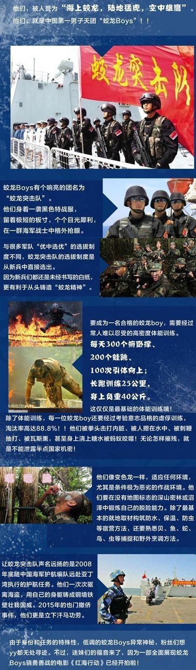 海军陆战队蛟龙突击队标准，塑造精锐之师的卓越准则，海军陆战队蛟龙突击队标准，塑造精锐之师的精英之道