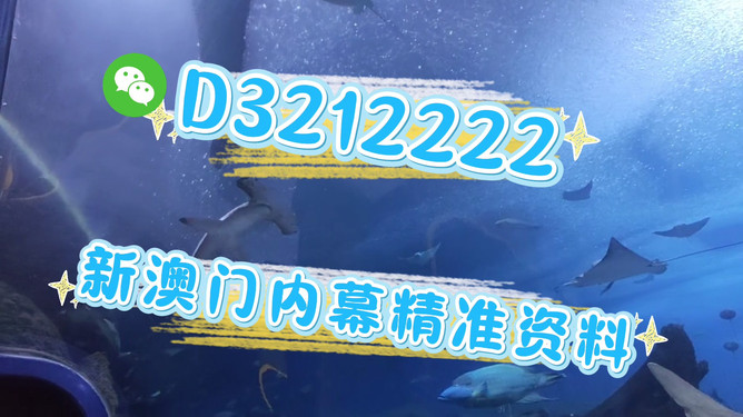 新澳门2025年生肖图，探索未来之年的神秘运势与独特魅力，澳门生肖图揭秘，探索未来之年的运势与独特魅力（2025年展望）