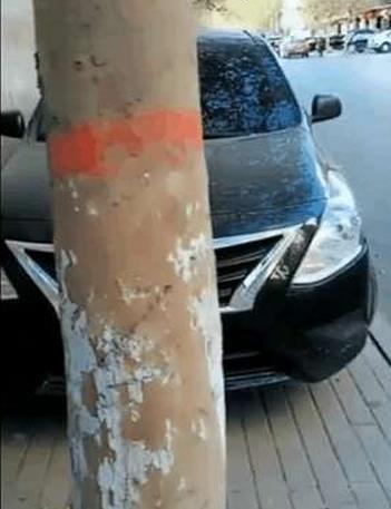 东风系列导弹距离,技术的跨越与国防的坚实屏障,东风系列导弹,技术跨越与国防坚实屏障的展现