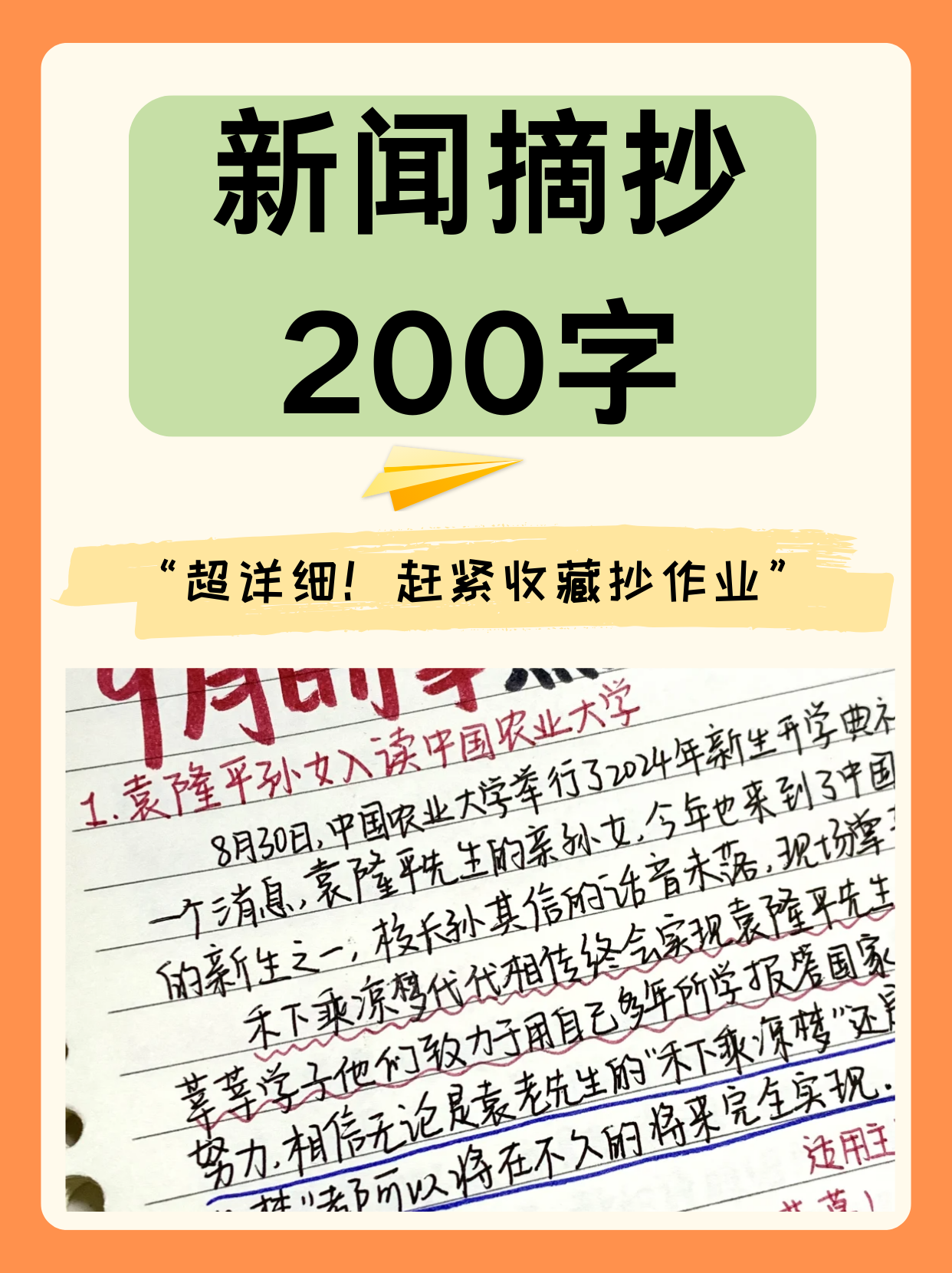 最新新闻报道概览（XXXX年视角），XXXX年新闻视角，最新新闻报道概览